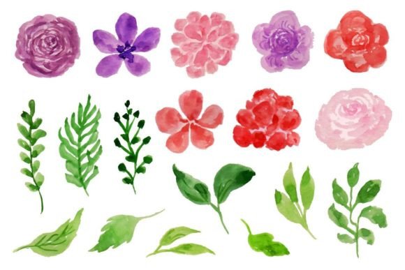 Download Beautiful Summer Flower Watercolor - Summer Collection