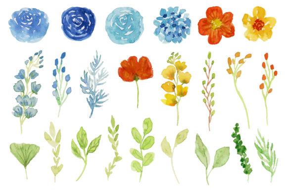 Download Spring and Summer Flower Watercolor - Summer Collection